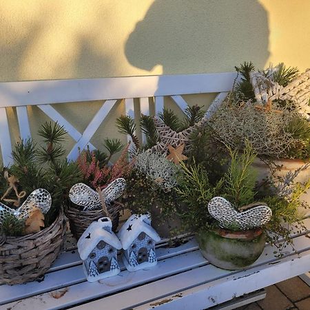 Ferienwohnung Ott Амелингхаузен Екстериор снимка