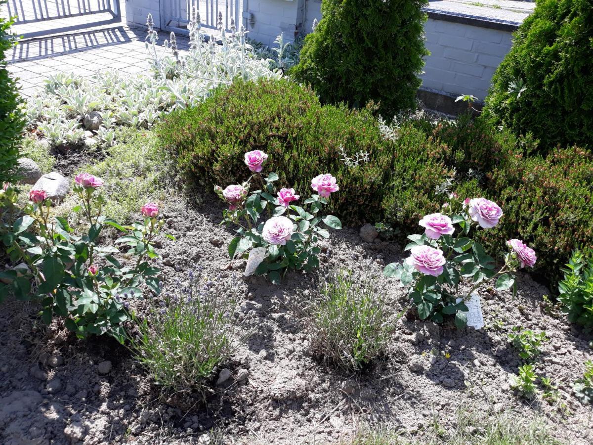 Ferienwohnung Ott Амелингхаузен Екстериор снимка
