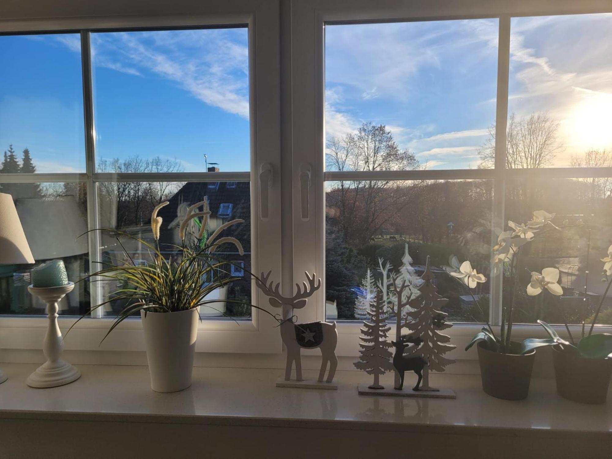Ferienwohnung Ott Амелингхаузен Екстериор снимка